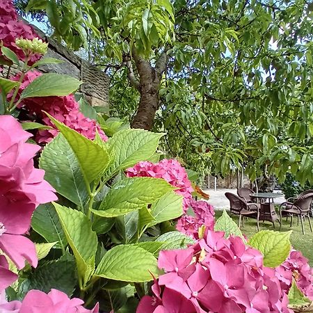 Picos De Europa Suites And Rooms Turieno Ngoại thất bức ảnh