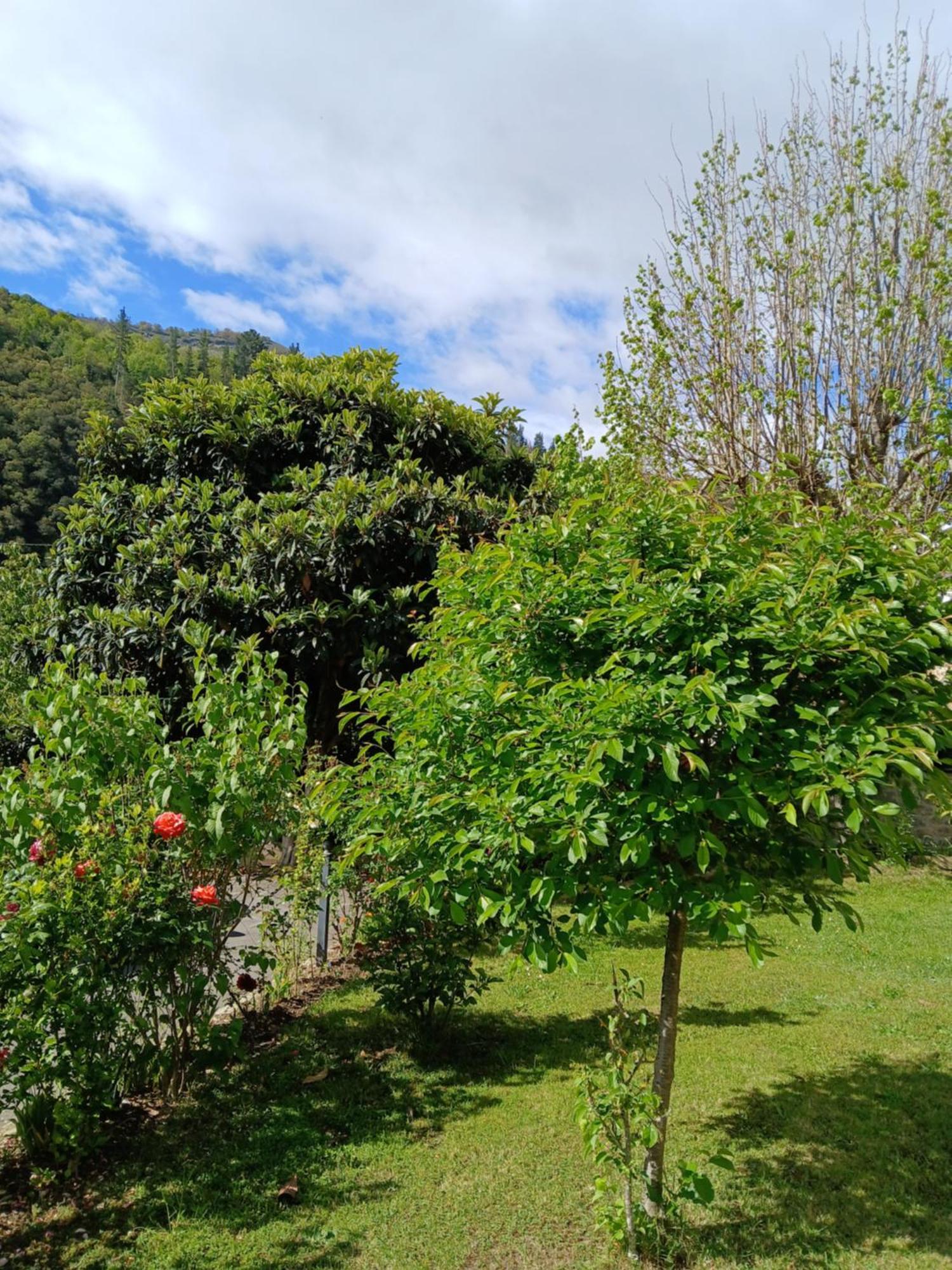 Picos De Europa Suites And Rooms Turieno Ngoại thất bức ảnh