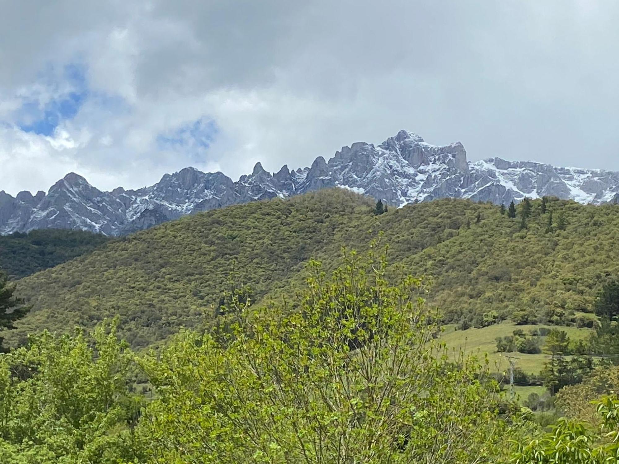 Picos De Europa Suites And Rooms Turieno Ngoại thất bức ảnh