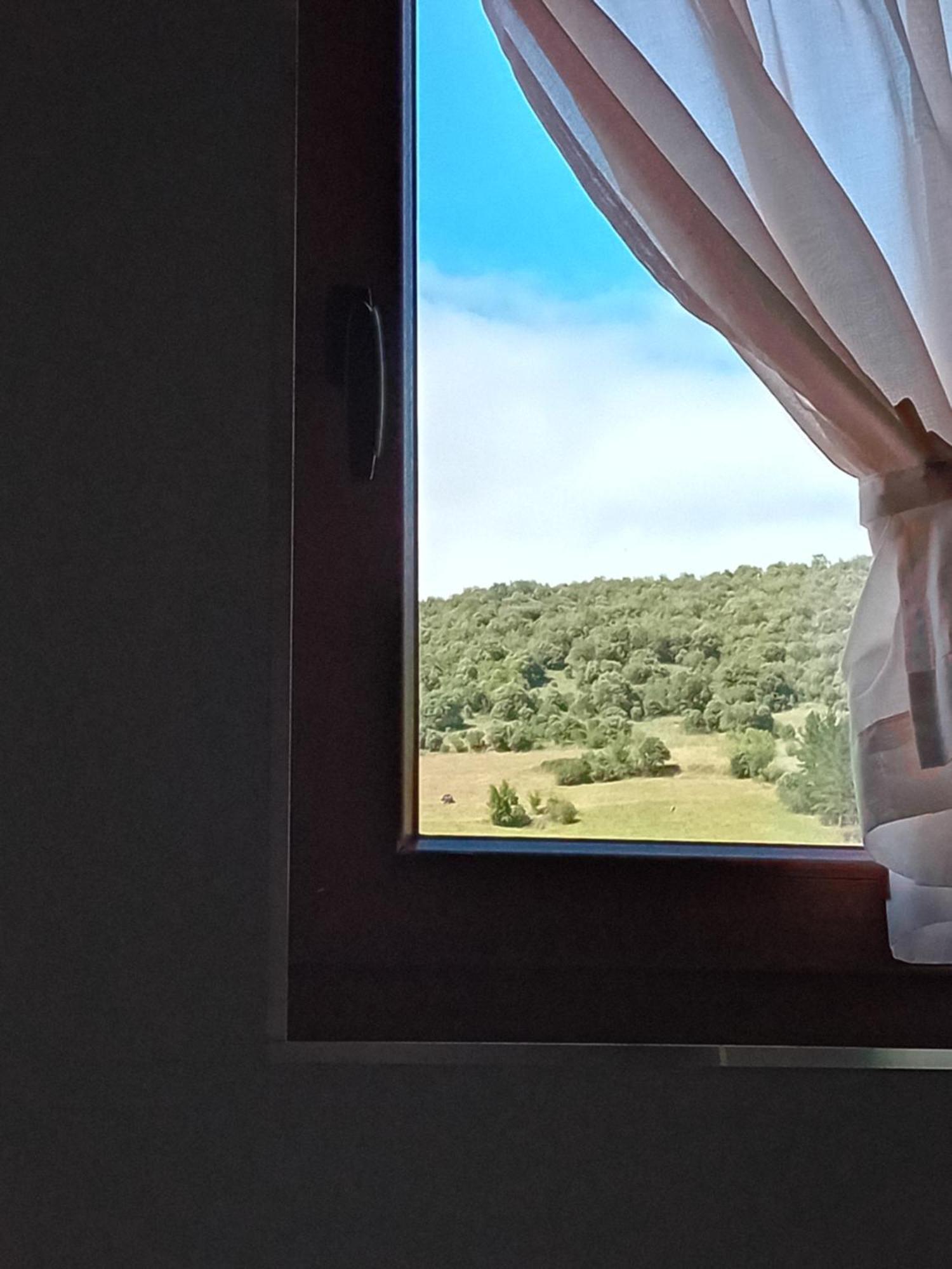 Picos De Europa Suites And Rooms Turieno Ngoại thất bức ảnh