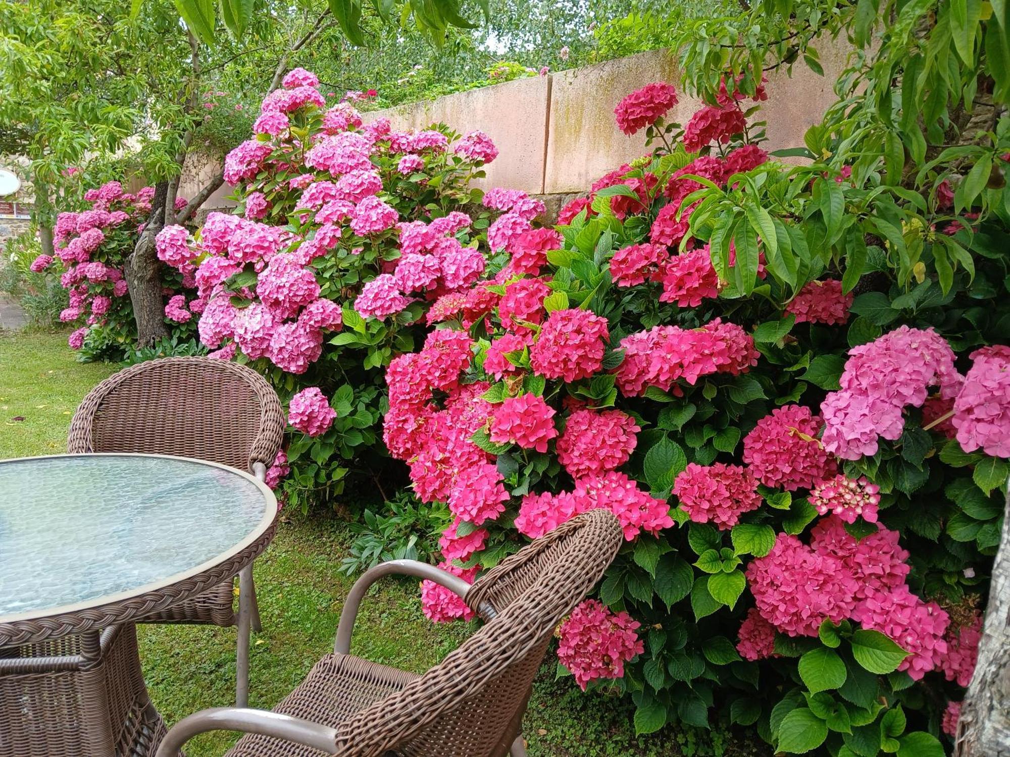Picos De Europa Suites And Rooms Turieno Ngoại thất bức ảnh