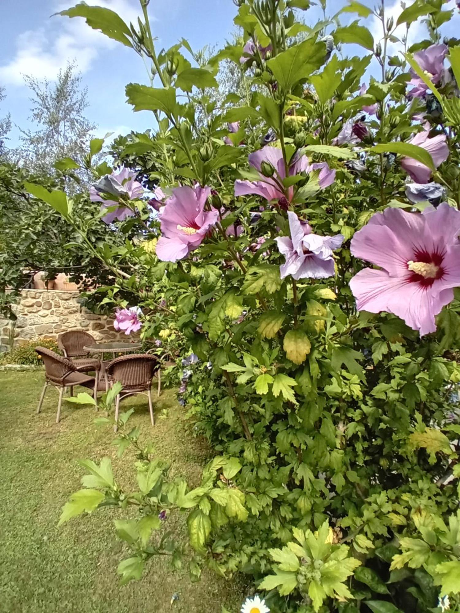 Picos De Europa Suites And Rooms Turieno Ngoại thất bức ảnh