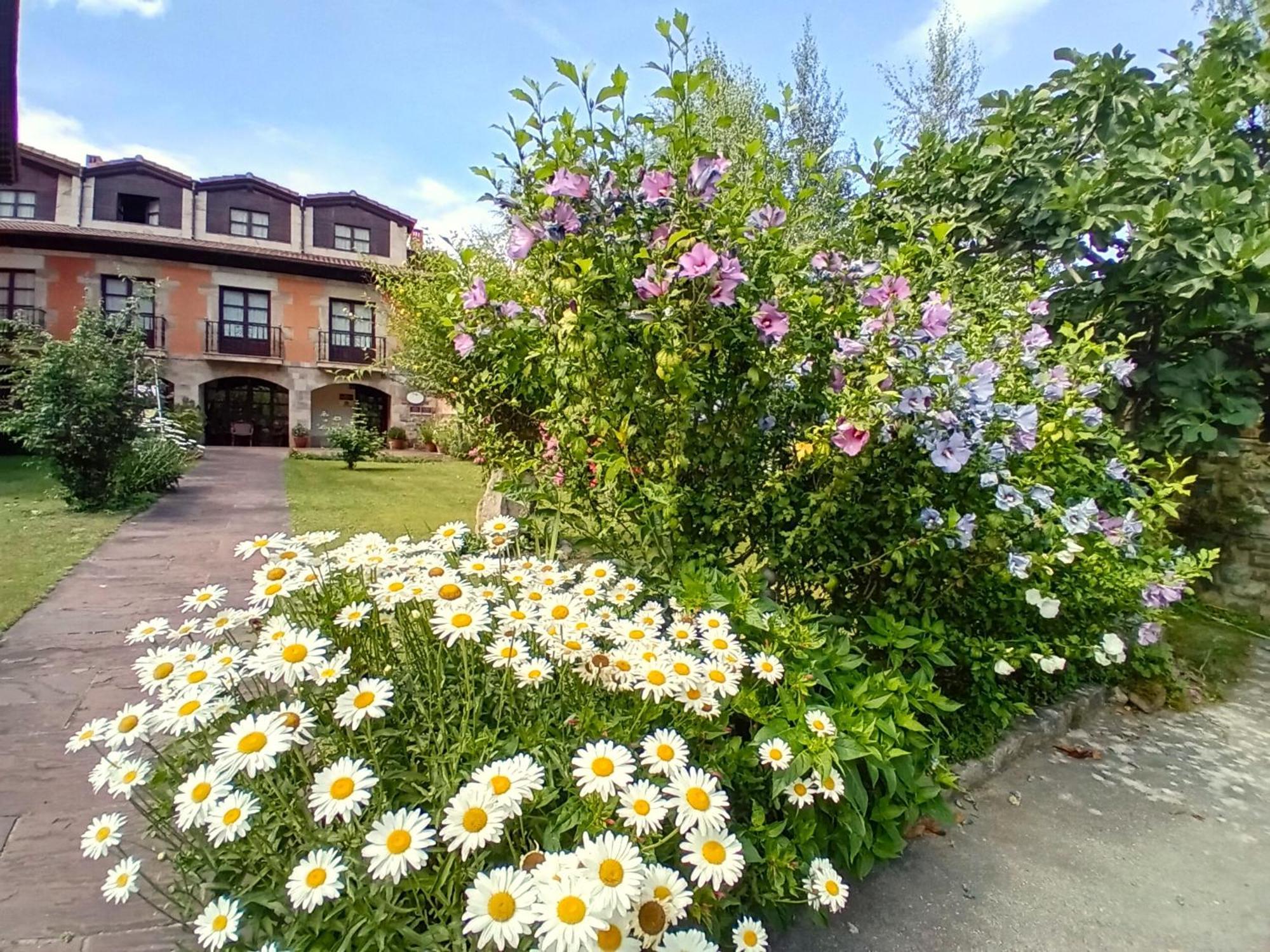 Picos De Europa Suites And Rooms Turieno Ngoại thất bức ảnh